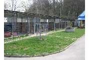 Tierschutzverein Erlangen und Umgebung e.V. - GALLERY