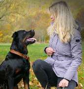 Tiertherapie Friebe - GALLERY