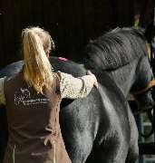 Tiertherapie Friebe - GALLERY