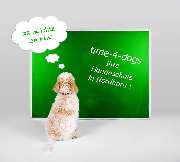 time-4-dogs - GALLERY