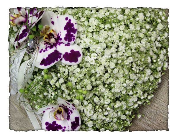 Tina's Blumenstüble - Hochzeit