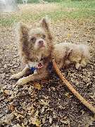 Tinkerbell Die Haushaltsfee - GALLERY