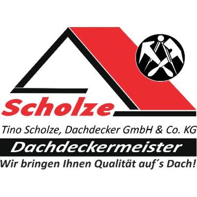Tino Scholze Dachdecker GmbH&Co.KG - LOGO