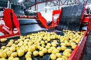 tis Technischer-Industrie-Service für Verschleiß- u. Fördertechnik GmbH - GALLERY