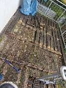 TIS Thüringer Immobilien Service - 20240617_101110.jpg