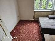 TIS Thüringer Immobilien Service - 20240911_100319.jpg