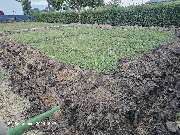 TIS Thüringer Immobilien Service - 20240924_184709.jpg