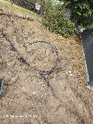 TIS Thüringer Immobilien Service - 20240925_131454.jpg