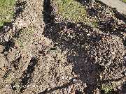 TIS Thüringer Immobilien Service - 20240927_095106.jpg