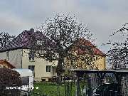 TIS Thüringer Immobilien Service - 20241213_120927.jpg