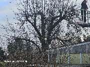 TIS Thüringer Immobilien Service - 20241213_120936.jpg