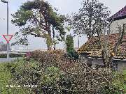 TIS Thüringer Immobilien Service - 20241213_121124.jpg