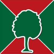 Tischler Daniel Albani Gestaltung in Holz - GALLERY