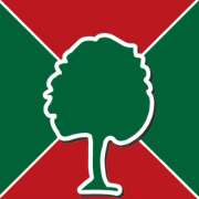 Tischler Daniel Albani Gestaltung in Holz - LOGO