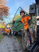 TM Baumfällung - GALLERY