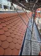 TMDH - 1000187976.jpg