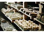 Tölzer Kasladen - GALLERY