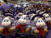 Tomescheit GbR Schokowelt Troisdorf - Tomescheit GbR Schokowelten Lagerverkauf Troisdorf