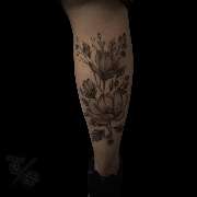 Totally Skin - GALLERY