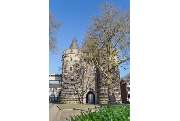 Tourist Information Neuss - GALLERY