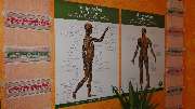Traditionelle Thaimassage am Schillerplatz - GALLERY