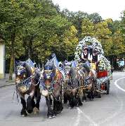 Traditionsgasthof Alpenrose - GALLERY