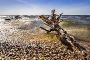 Traumdomizil Usedom GmbH - GALLERY