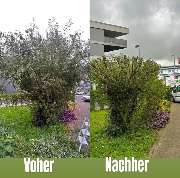 Traumplatz Garten- Gebäudemanagement - 6