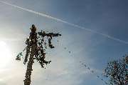 Tree Care Minge & Kiehl GbR - GALLERY