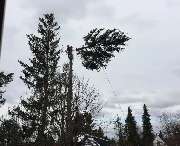 TREEWALKERS München - GALLERY