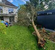 TREEWALKERS München - GALLERY