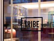 TRIBE Düsseldorf - GALLERY