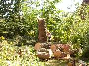 Trinkgeld GmbH Garten- & Landschaftsservice - 11