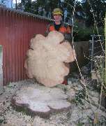 Trinkgeld GmbH Garten- & Landschaftsservice - 12