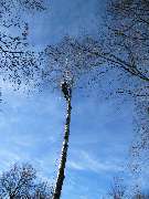 Trinkgeld GmbH Garten- & Landschaftsservice - 14