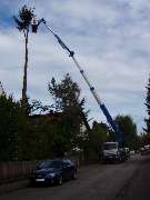 Trinkgeld GmbH Garten- & Landschaftsservice - 15