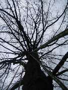 Trinkgeld GmbH Garten- & Landschaftsservice - 24