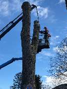 Trinkgeld GmbH Garten- & Landschaftsservice - 29