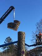 Trinkgeld GmbH Garten- & Landschaftsservice - 3