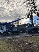 Trinkgeld GmbH Garten- & Landschaftsservice - 30