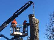 Trinkgeld GmbH Garten- & Landschaftsservice - 32