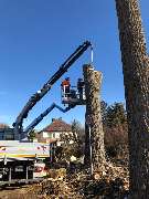 Trinkgeld GmbH Garten- & Landschaftsservice - 4