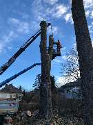 Trinkgeld GmbH Garten- & Landschaftsservice - 5