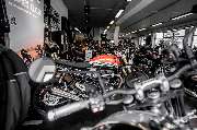 Triumph Lübeck - GALLERY