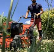 Tubi Service - Rasenmähen