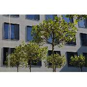 Tünnemann Landschaftsarchitektur - GALLERY