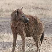 TUKIO Afrika - GALLERY