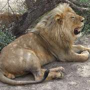 TUKIO Afrika - GALLERY