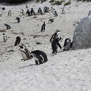 TUKIO Afrika - GALLERY