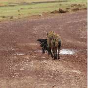 TUKIO Afrika - GALLERY